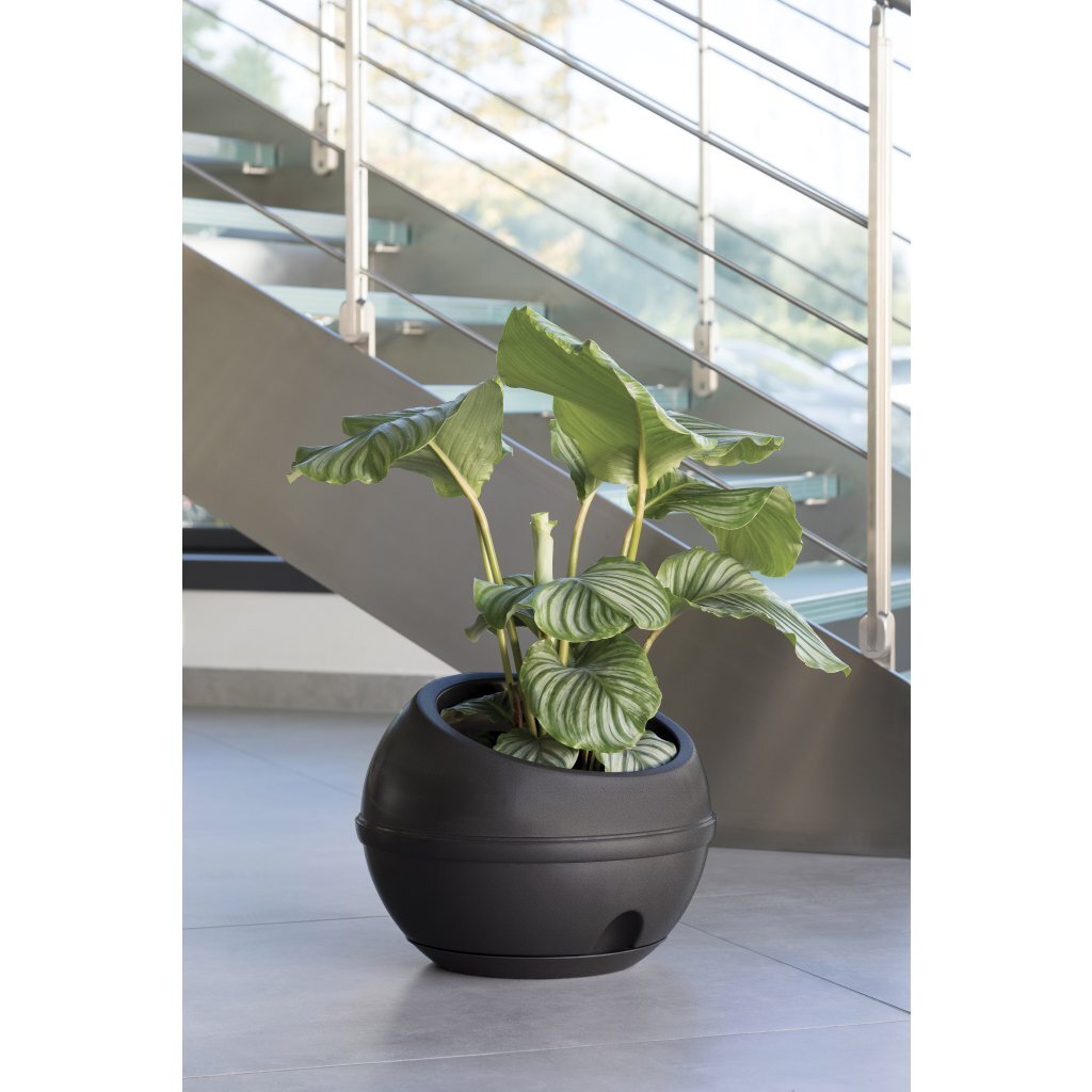 Bama sfera bloempot 23l 40,5x32 cm antraciet
