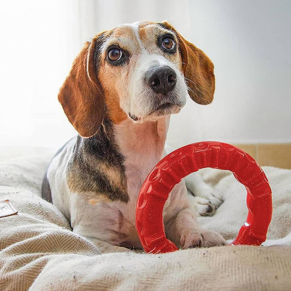 Ferplast kauwspeeltje voor honden smile groot 20x18x4 cm rood
