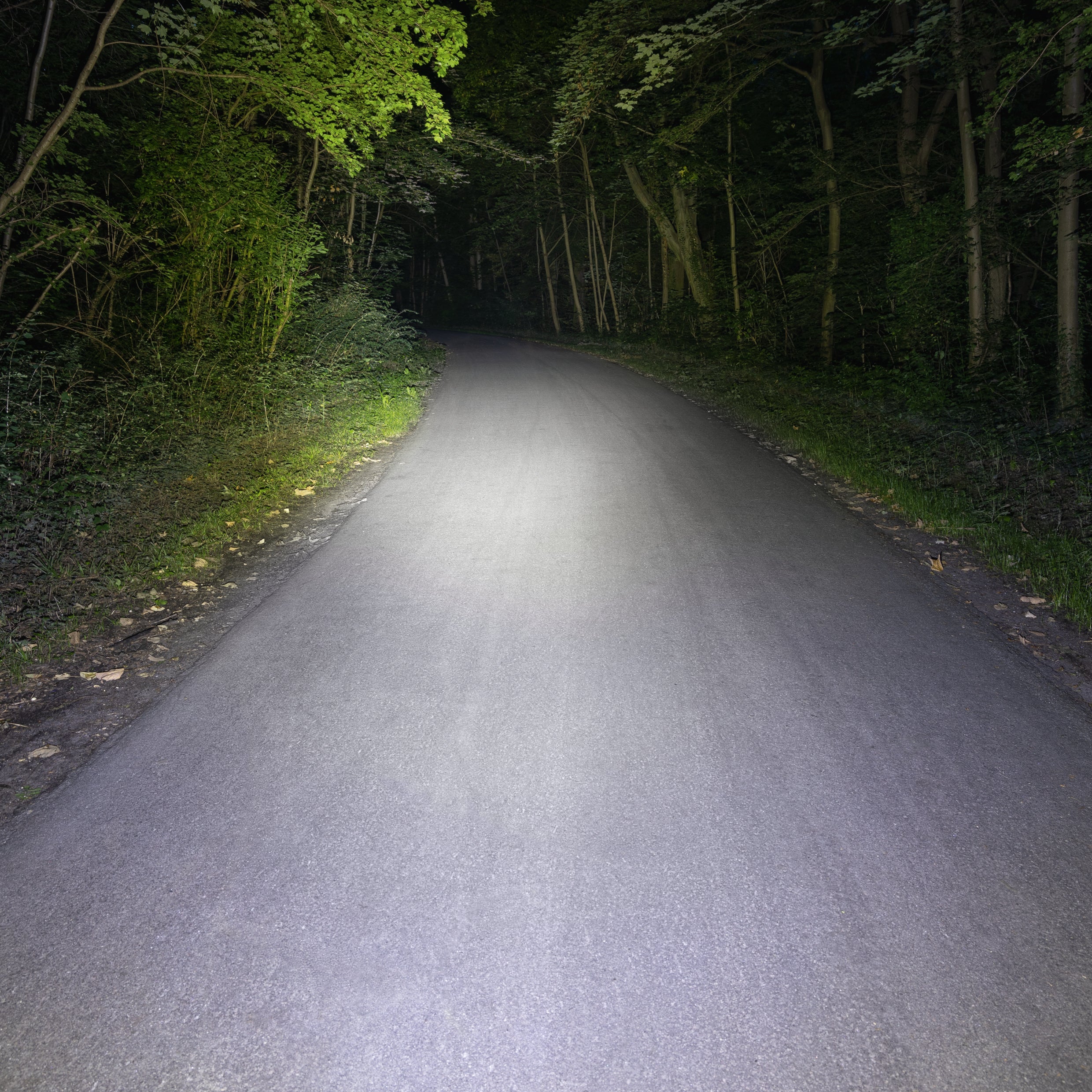 Sigma koplamp Buster 800 LED schroefhouder -Li-ion accu USB