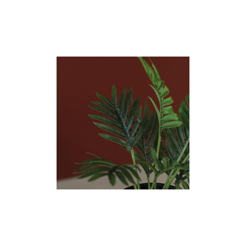 Countryfield kunstplant areca groen 23x25xh30cm
