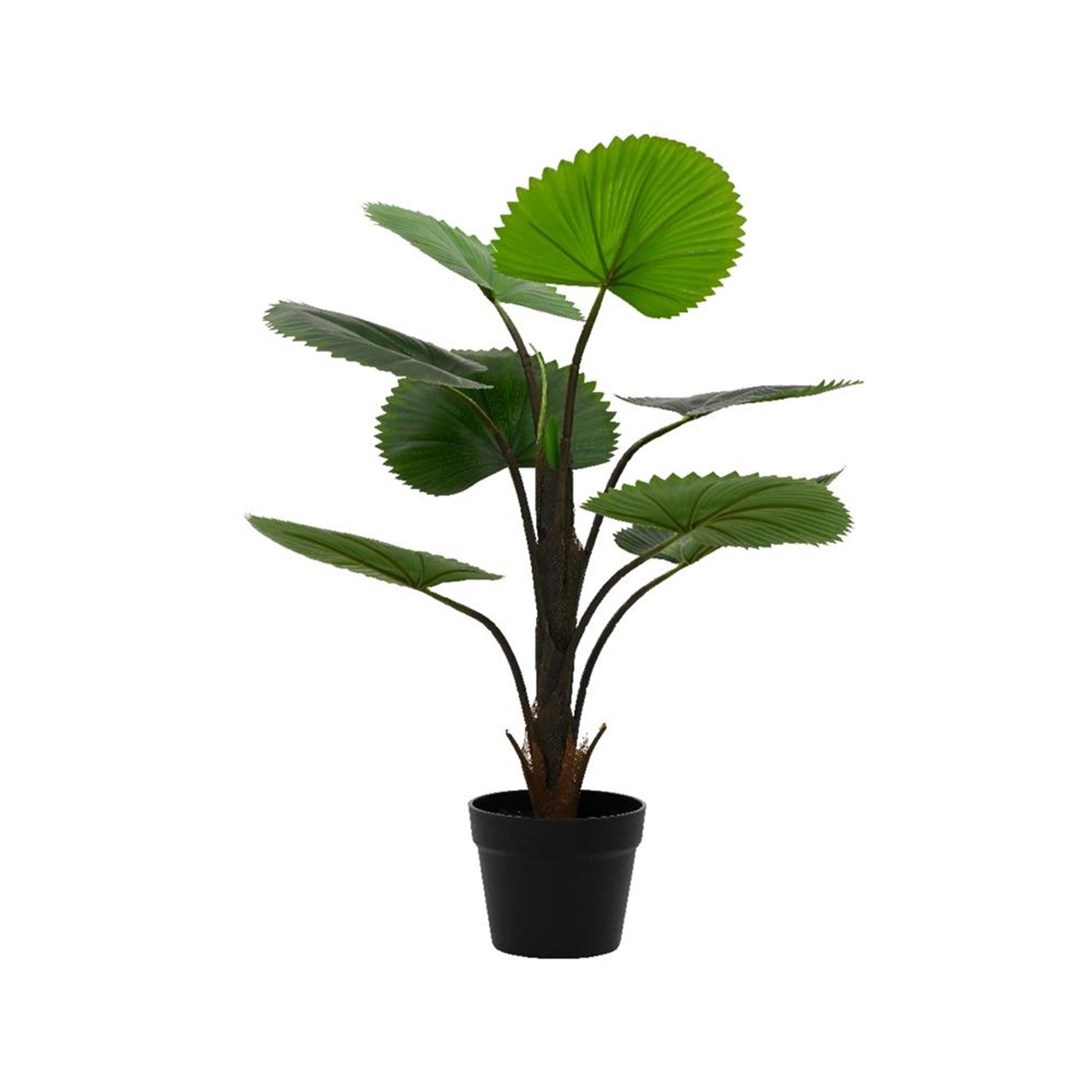 Decoris kunstplant licuala palm h75cm