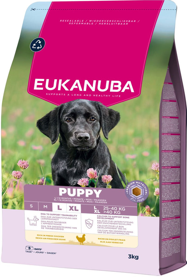 Eukanuba puppy large breed kip - hondenbrokken - 3 kg