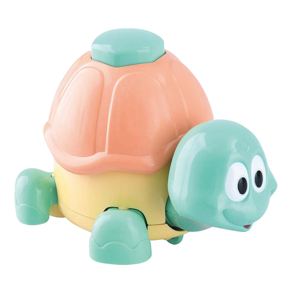 Speel verrassende schildpad met drukknop