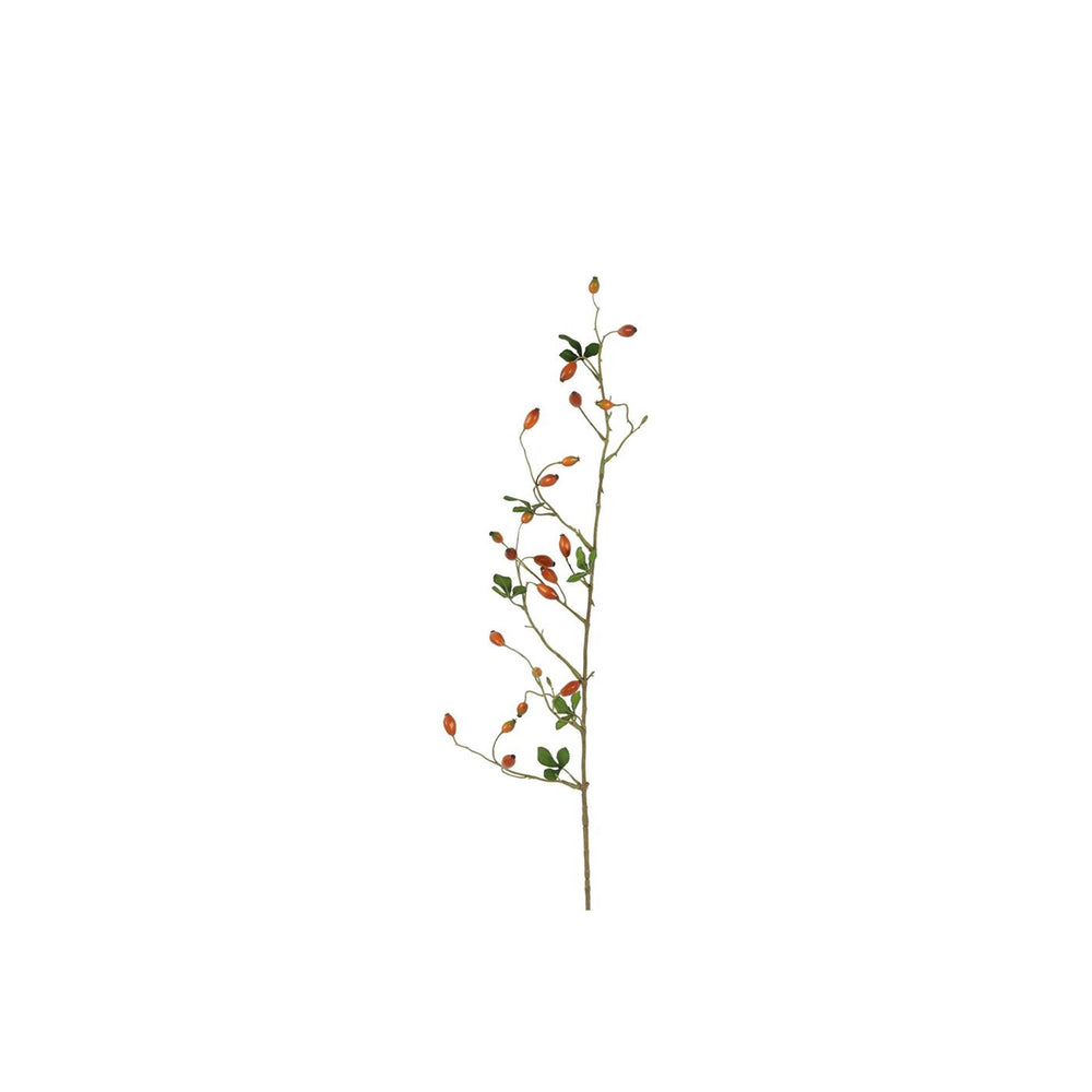 Countryfield kunsttak rosa canina rozenbottel oranje 3,8x5x108cm
