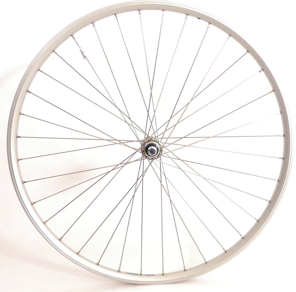 Rodi voorwiel 28 inch 622x21 viper - 36 gaats - zilver