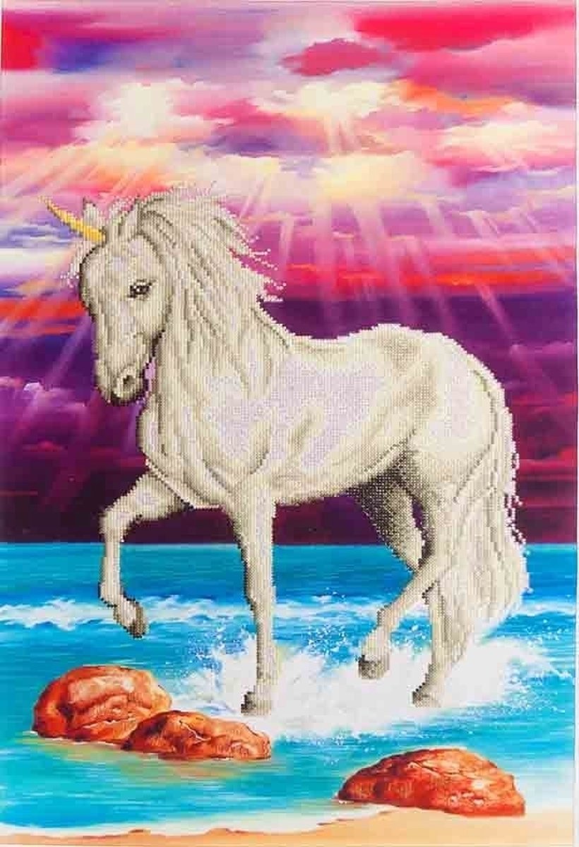 4897073240954