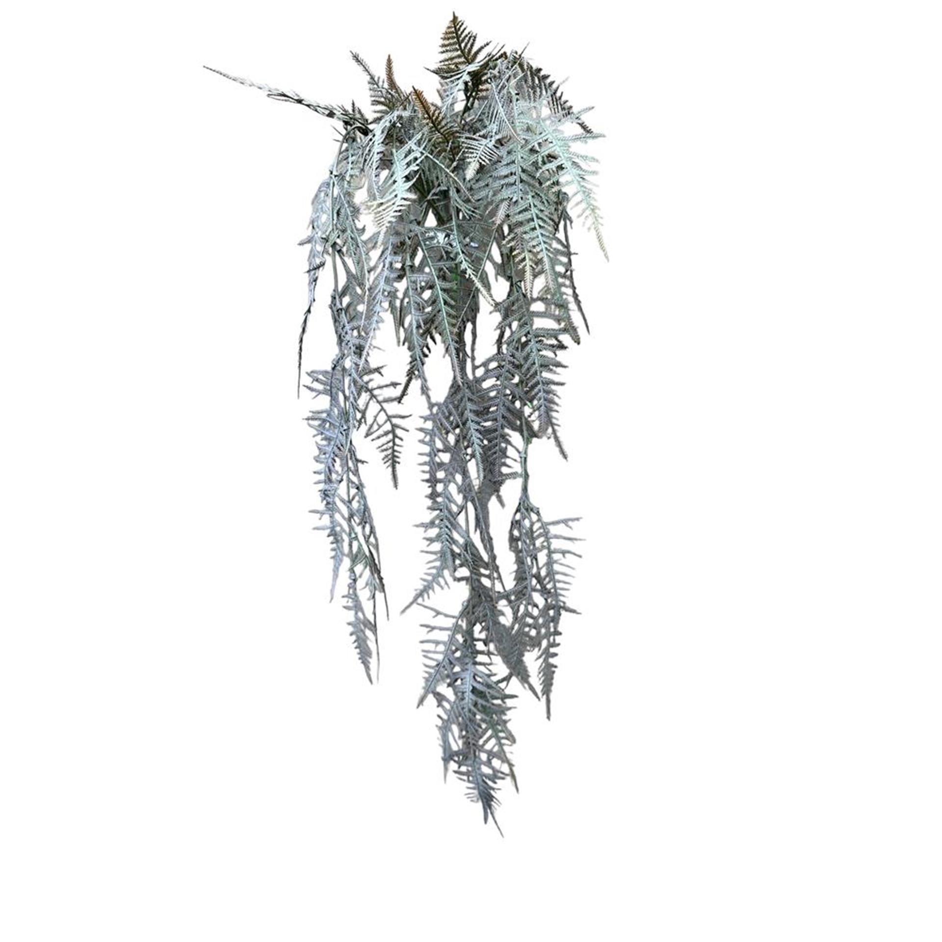 Roberts collection kunst hangplant asperges plumosus bruin