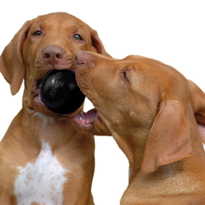 Kong extreme rubber bal zwart