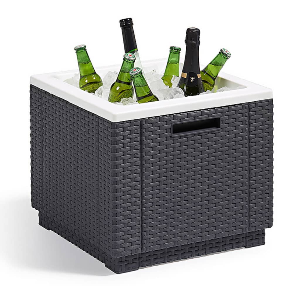 Keter Keter Koelbox Ice Cube grafischkleurig