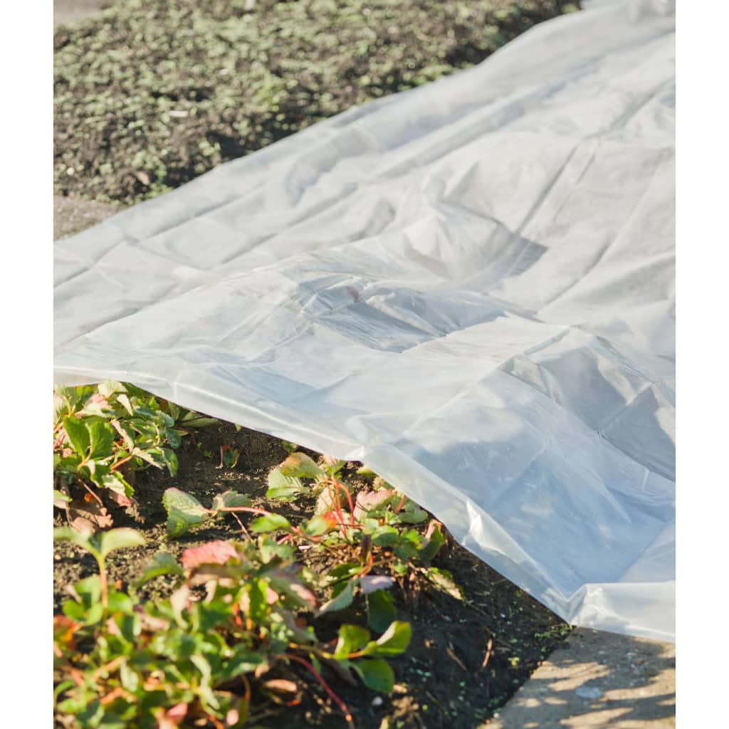 Natuur plantenhoes 4x6 m 100µ transparant