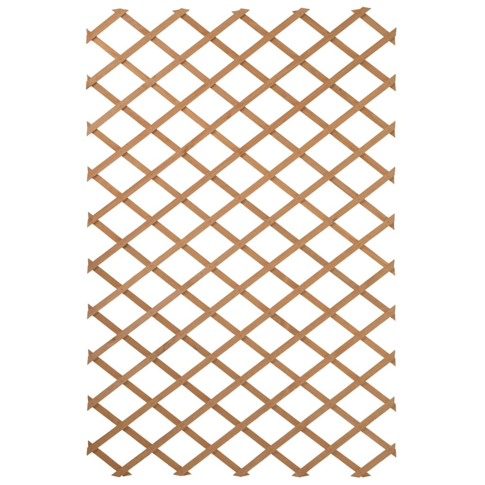 Natuur tuinlatwerk 50x150 cm hout natuurlijk