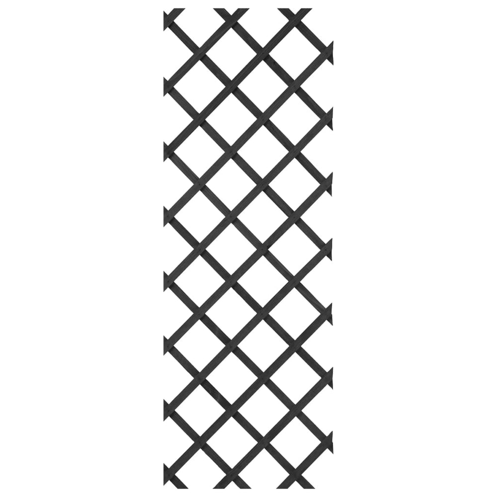 Nature tuinlatwerk 50x150 cm hout antracietkleurig