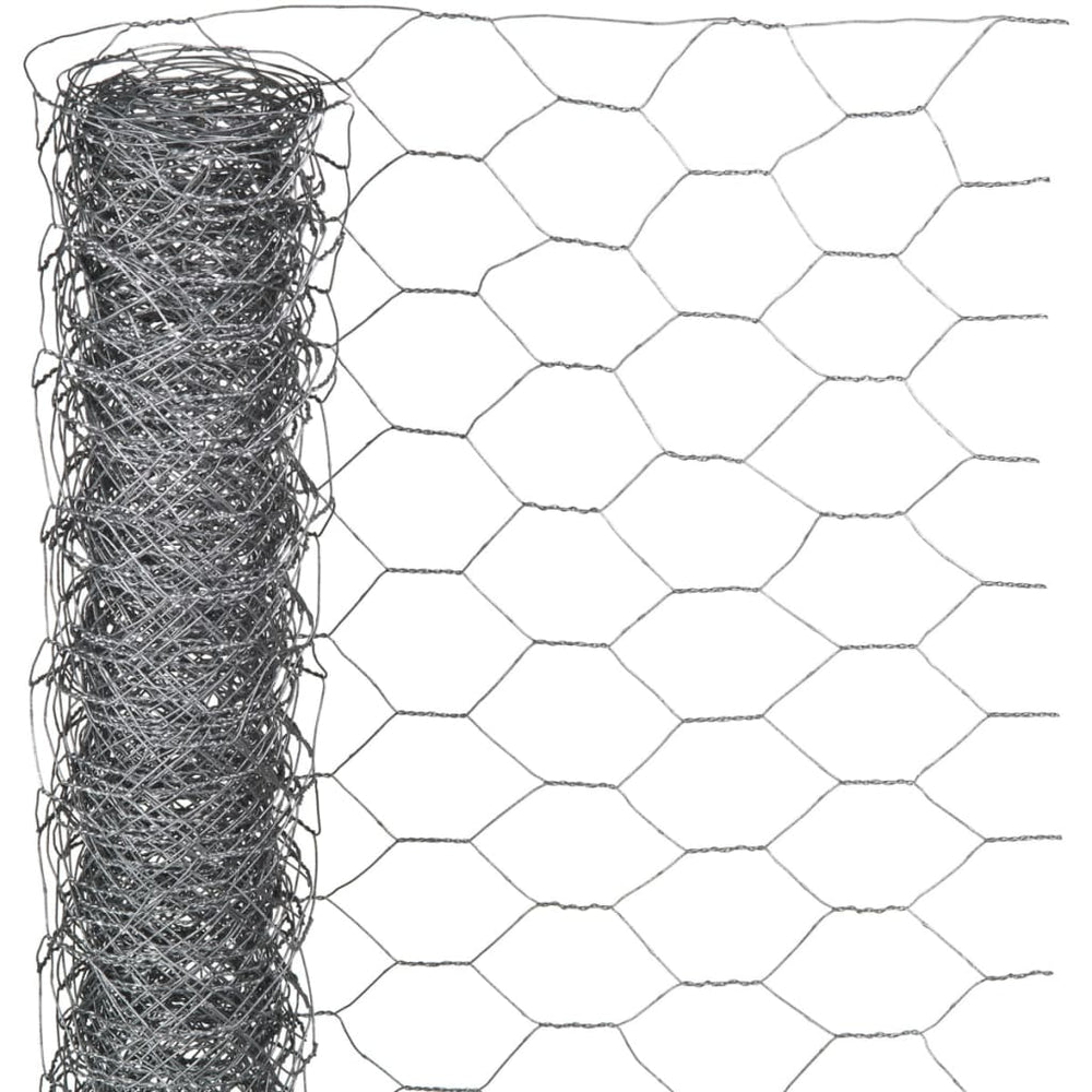 Nature gaas zeshoekig 0,5x2,5 m 25 mm gegalvaniseerd staal