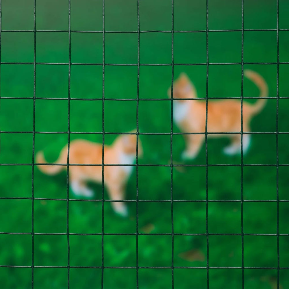 Natuur gaas vierkant 25 mm 1x2,5 mm kunststof gecoat staal groen