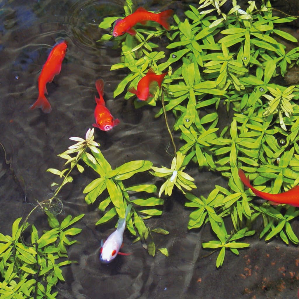 Ubbink vijverwaterbehandeling tegen algen aqua oxy 500 ml