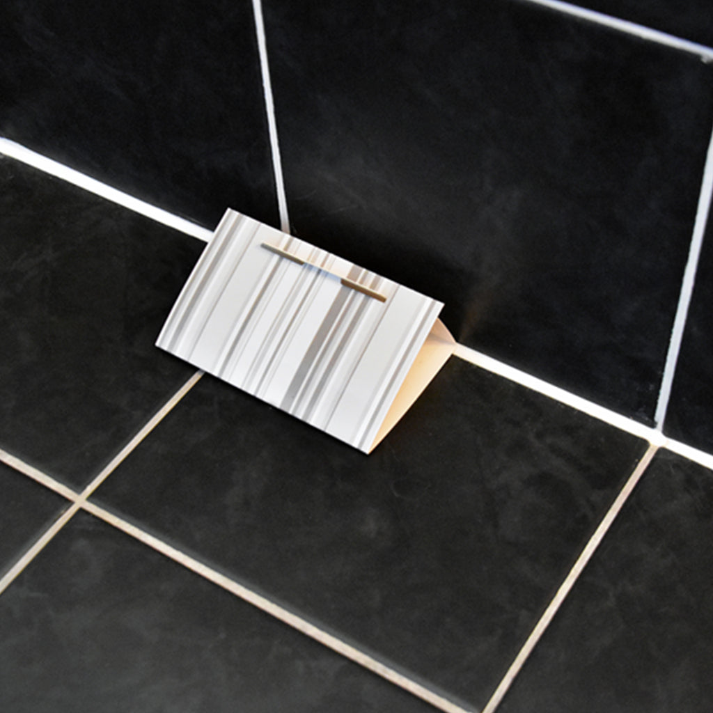 Hg x zilvervisjesval doosje a 2 stuks