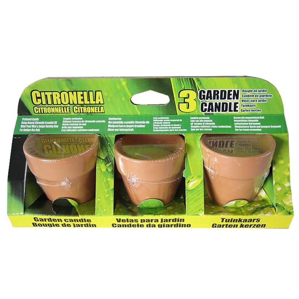 Basis Citronellakaarsen in Terracotta Potje 6,5 cm 3 Stuks