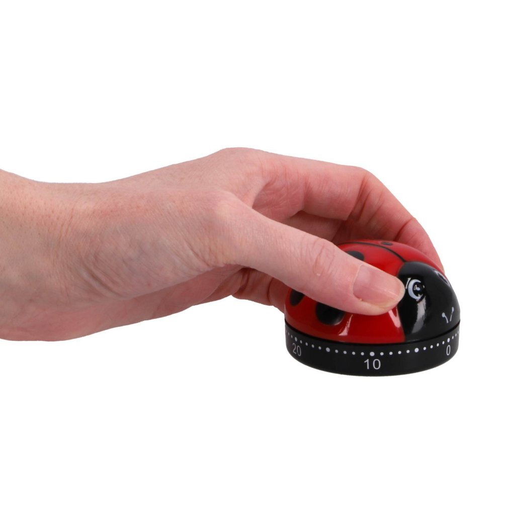 Patisse kookwekker lieveheersbeestje 6 cm zwart rood