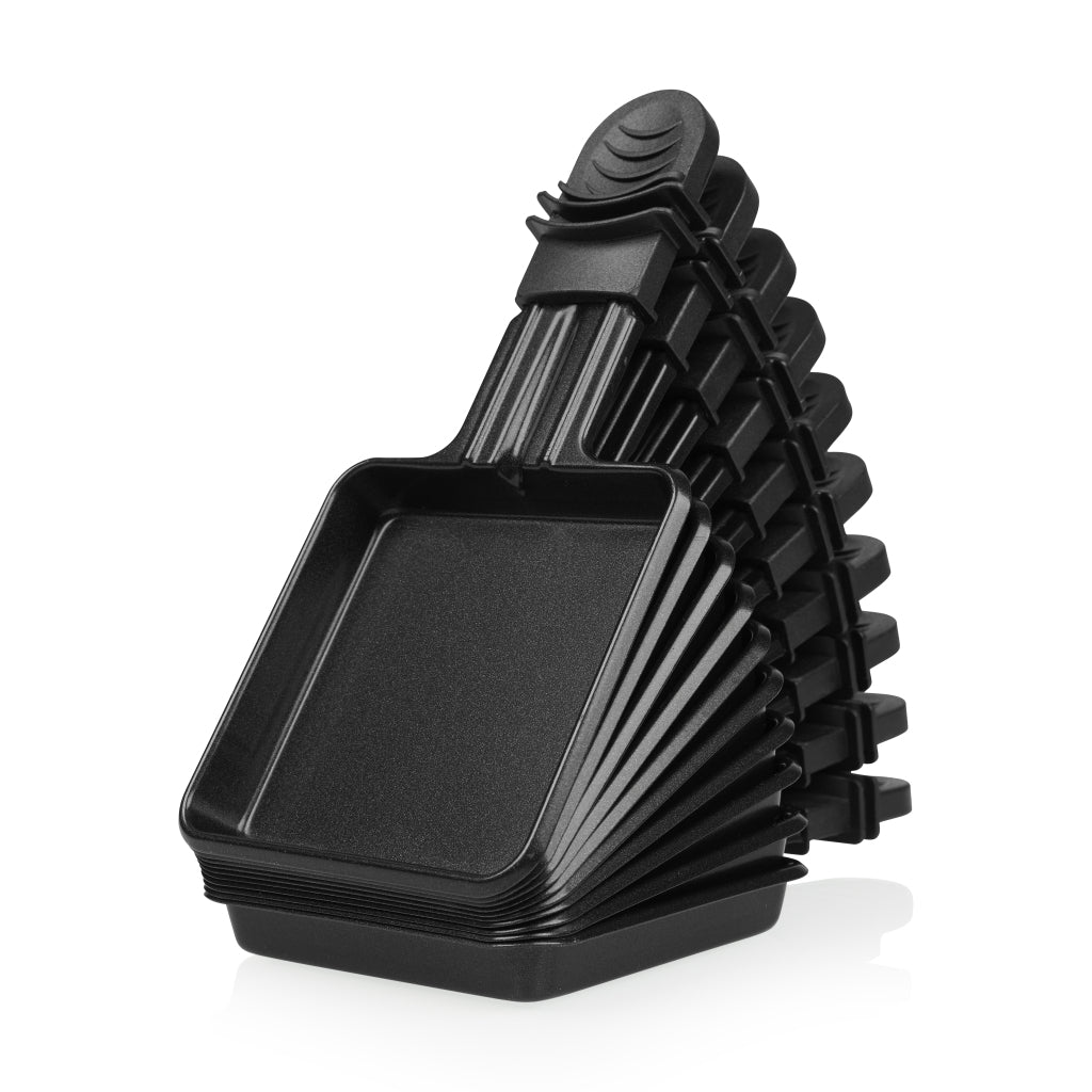 Prinses raclette 10 gourmetset