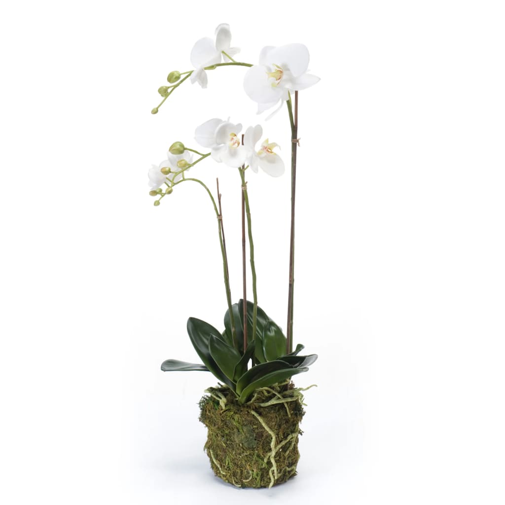 Emerald Emerald Kunstplant vlinderorchidee 70 cm wit
