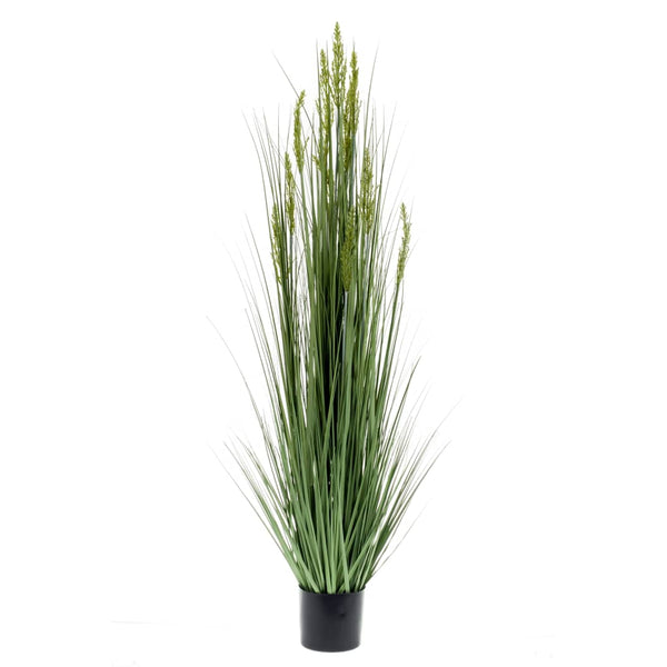 Emerald kunstplant graangras 150 cm