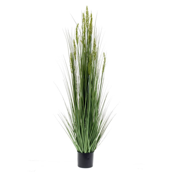 Emerald kunstplant graangras 150 cm