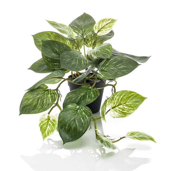 Emerald kunstplant in pot scindapsus struik 55 cm