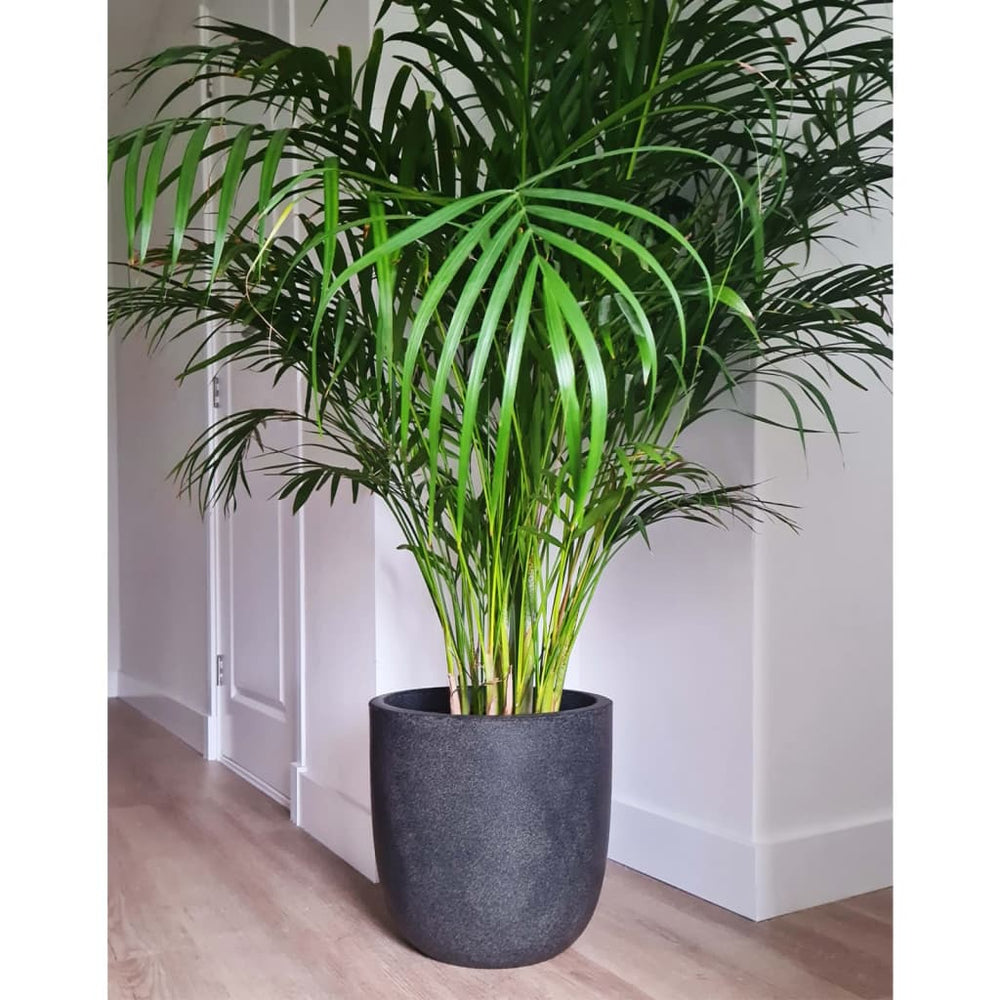 Capi plantenbak afval glad 43x41 cm grijs