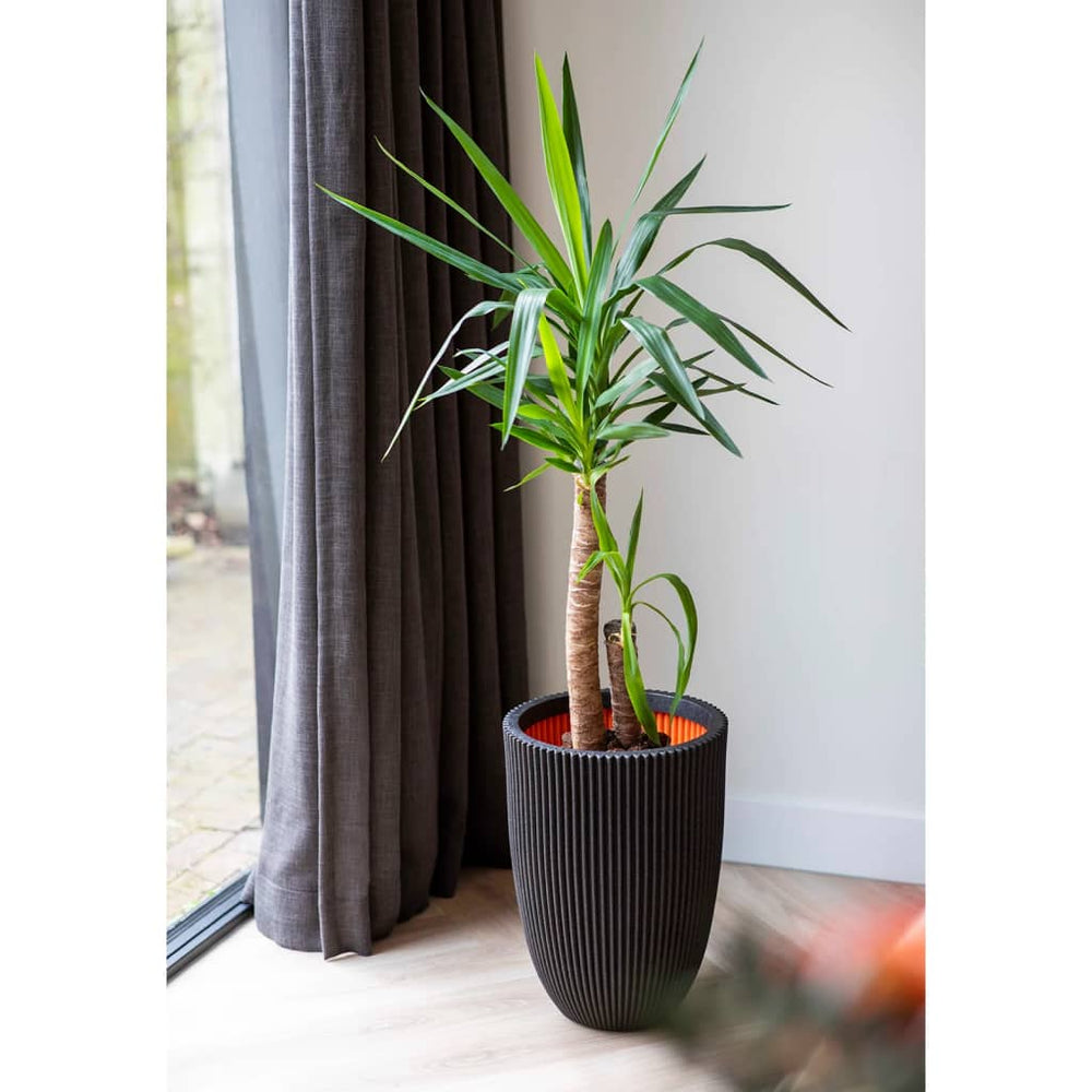 Capi bloempot groove elegant 34x46 cm zwart