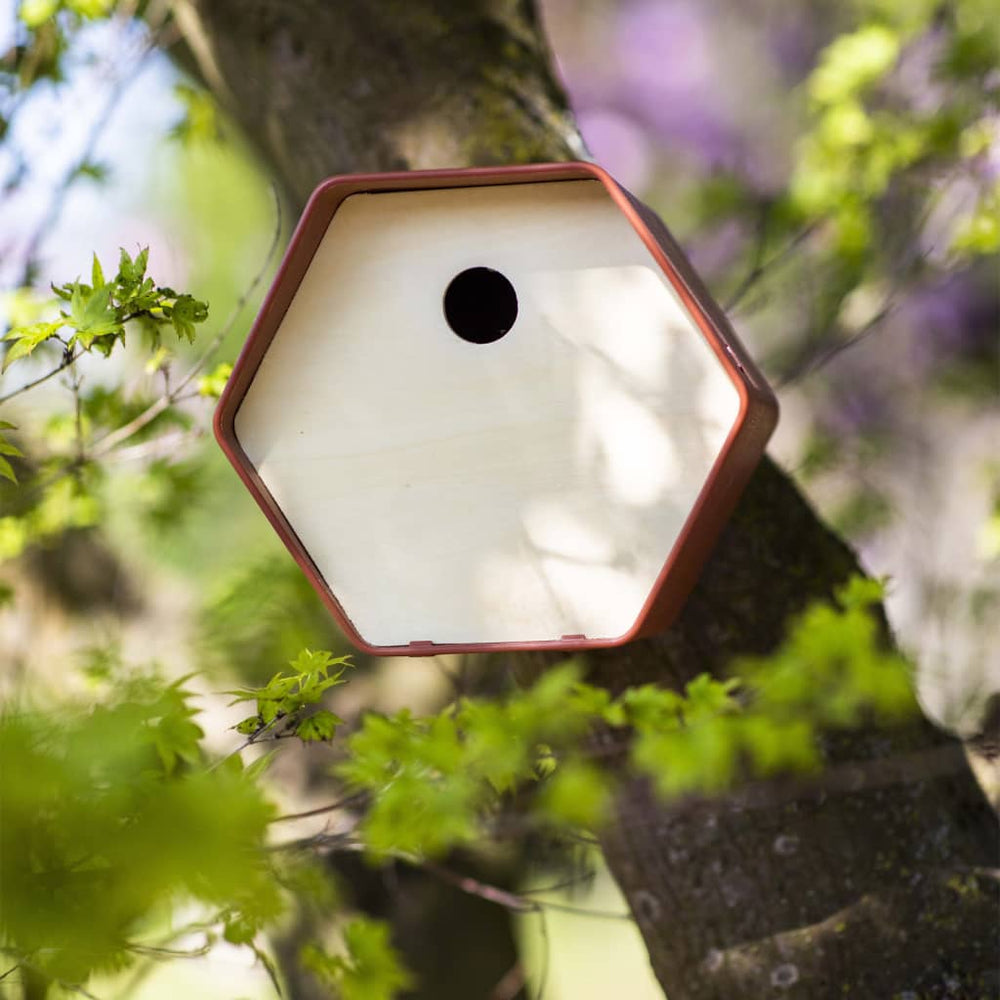 Capi vogelhuisje bijenkorf 1 rond gat 19x23x20 cm bruin