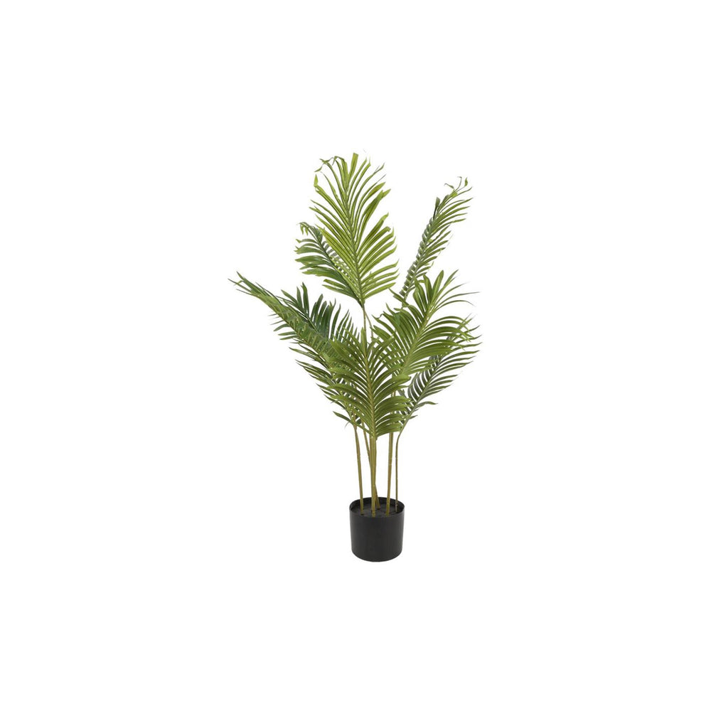 Countryfield kunstplant kentia m groen dia.70xh100cm
