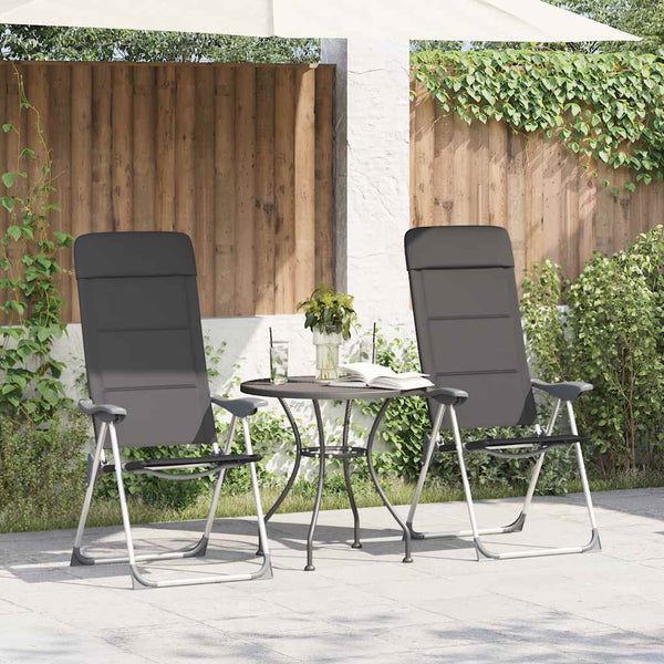 Vidaxl campingstoelen 58x69x111 cm aluminium grijs 2 st
