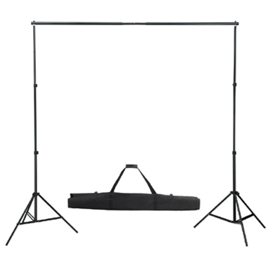 Vidaxl achtergrondsysteem 300x300 cm wit