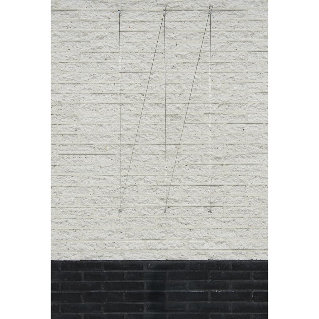 Natuur Natuur Spandraadsysteem voor klimplanten 2 st