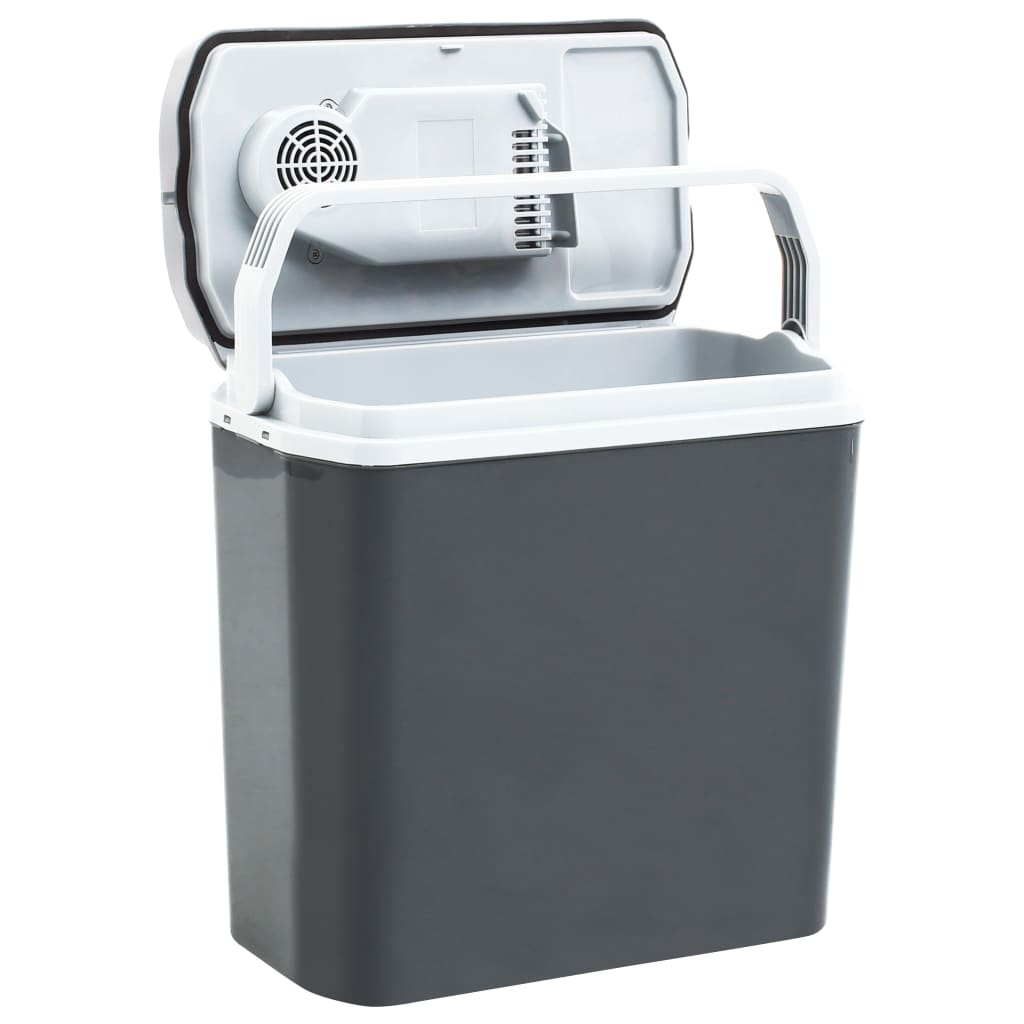 VidaXL Koelbox thermo-elektrisch draagbaar 12 V 230 VE 20 L