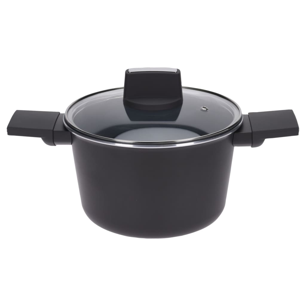 Uitstekende huishoud braadpan met deksel 20 cm