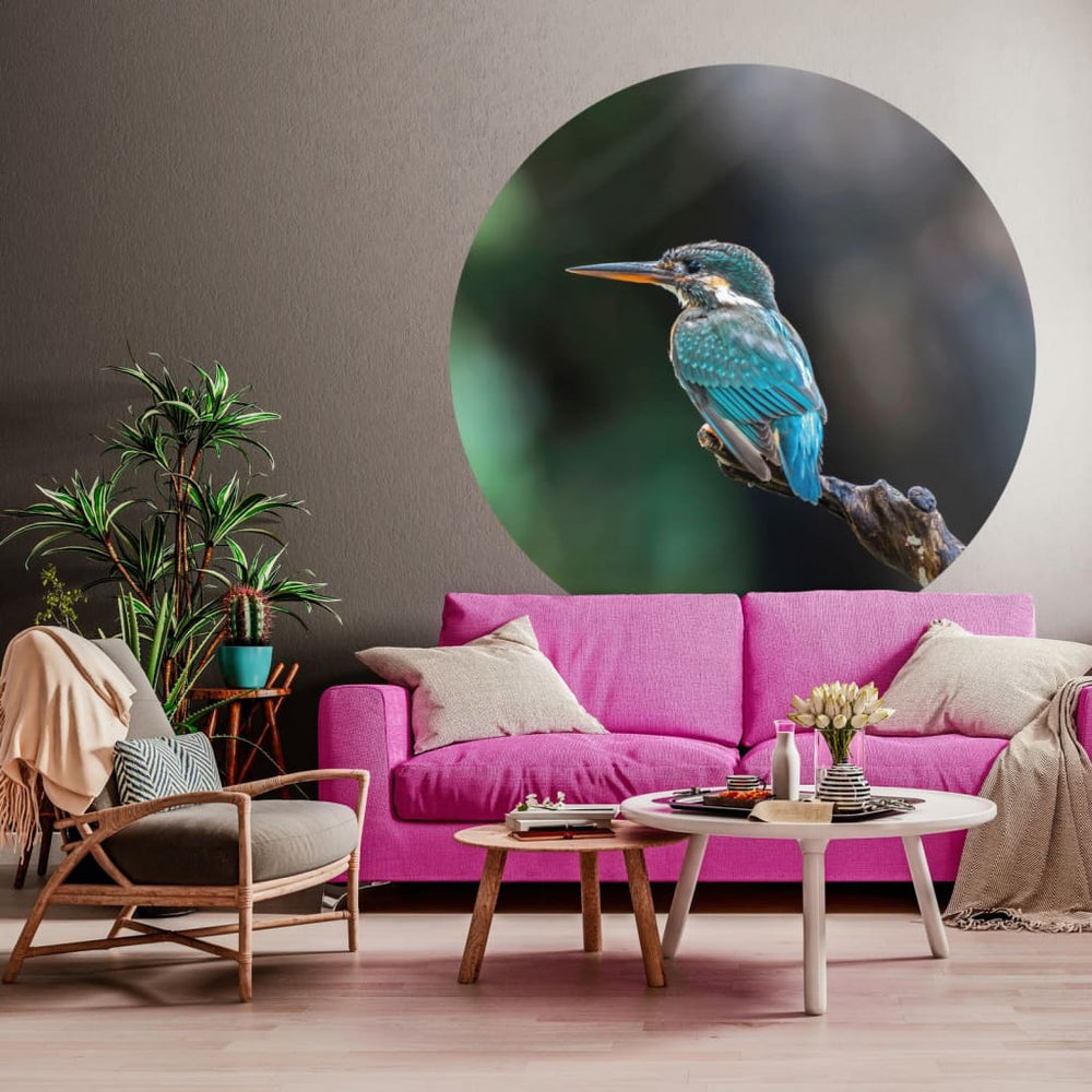 Wandkunst behangcirkel de ijsvogel 142,5 cm