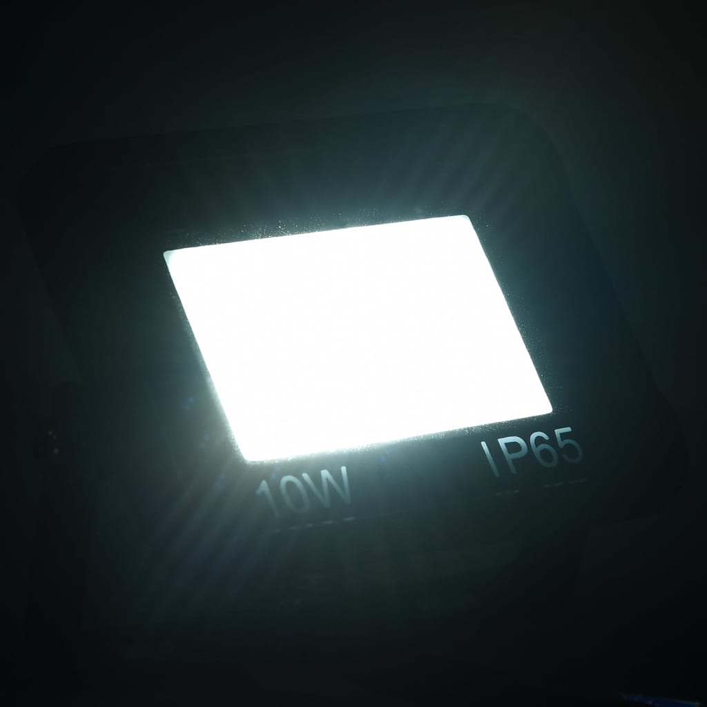 Vidaxl spot led 10w koudwit