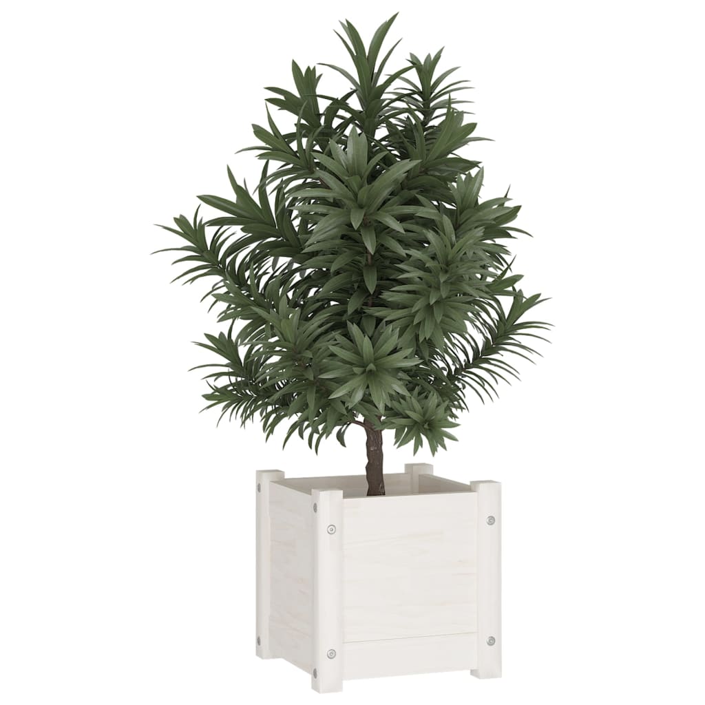 Vidaxl plantenbakken 2 st 31x31x31 cm massief groenhout wit