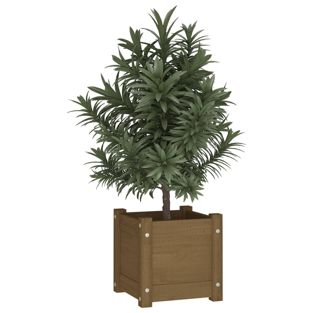 VidaXL Plantenbakken 2 st 31x31x31 cm massief groenhout honingbruin