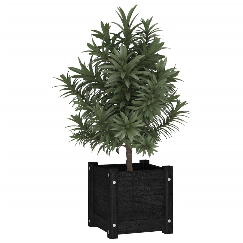 Vidaxl plantenbakken 2 st 31x31x31 cm massief groenenhout zwart