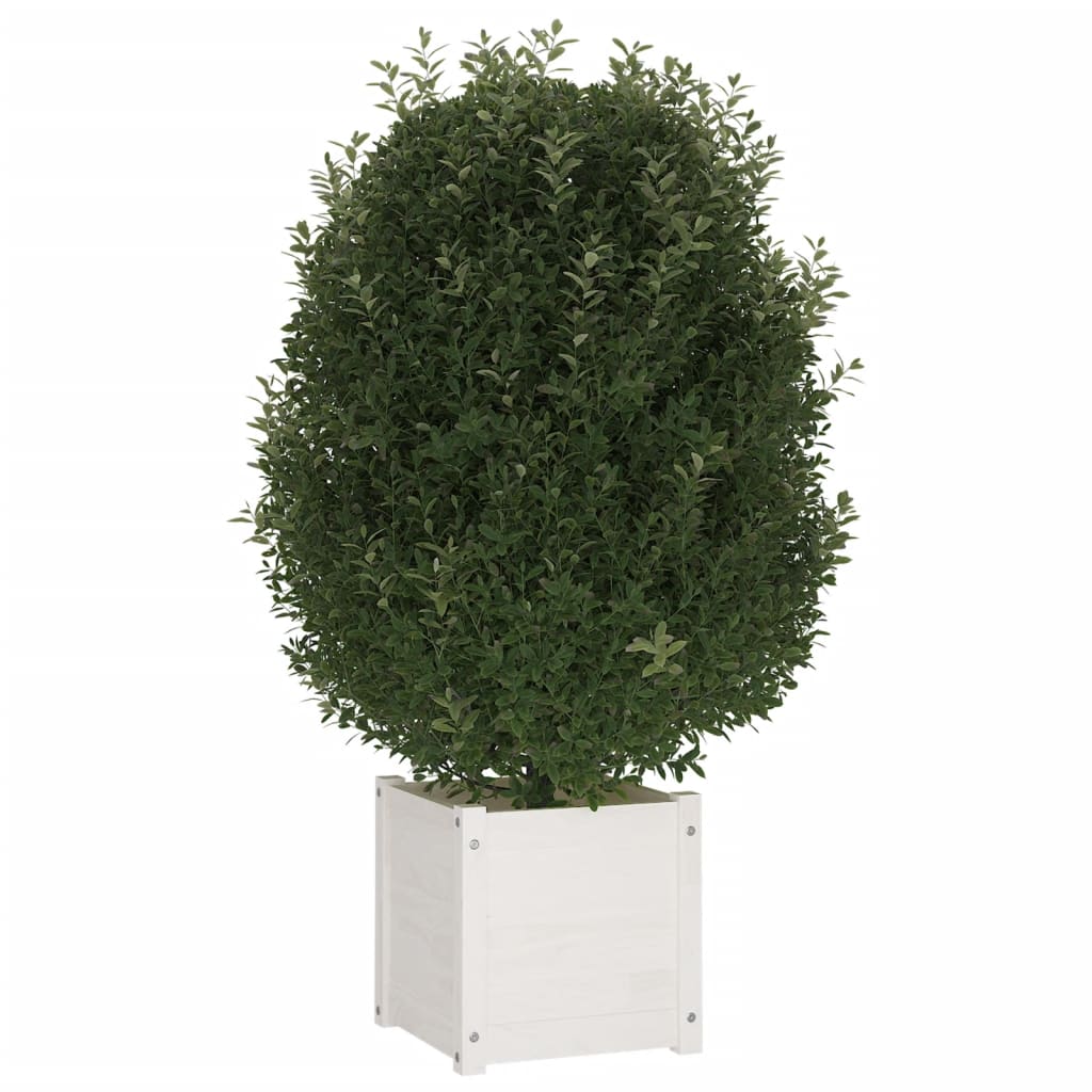 VidaXL Plantenbak 40x40x40 cm massief groenhout wit