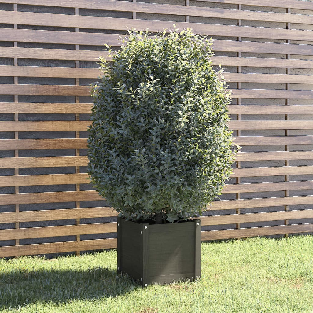 Vidaxl plantenbak 40x40x40 cm massief groenenhout grijs
