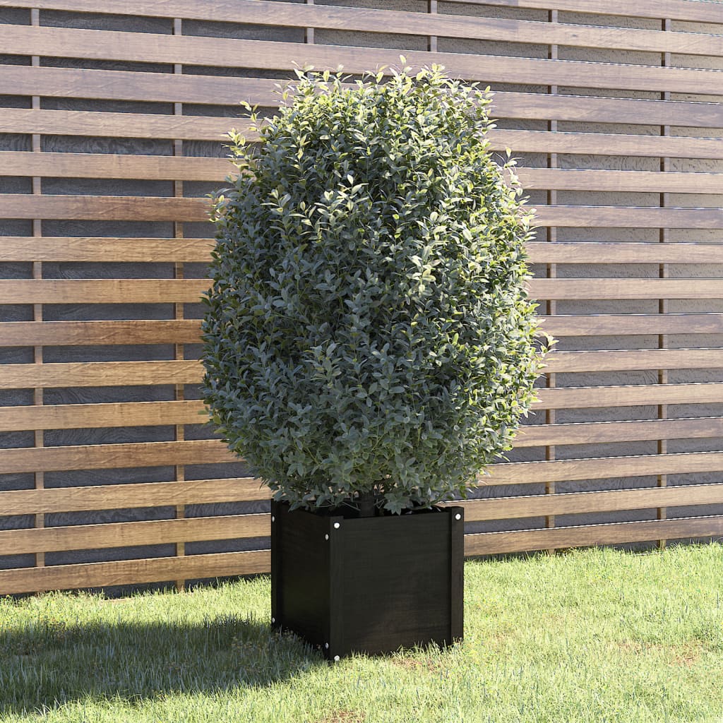 Vidaxl plantenbak 40x40x40 cm massief groenenhout zwart