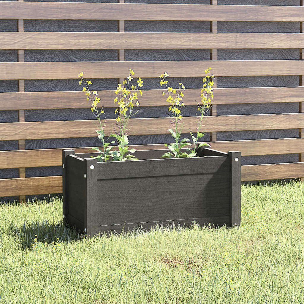 Vidaxl plantenbak 60x31x31 cm massief groenenhout grijs