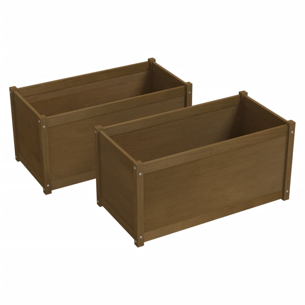 VidaXL Plantenbakken 2 st 100x50x50 cm massief groenhout honingbruin