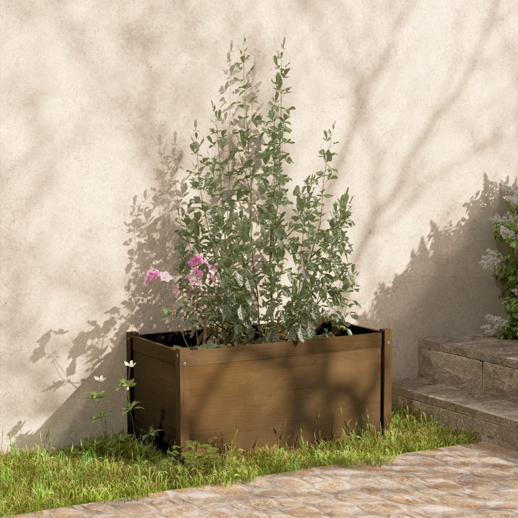 VidaXL Plantenbakken 2 st 100x50x50 cm massief groenhout honingbruin