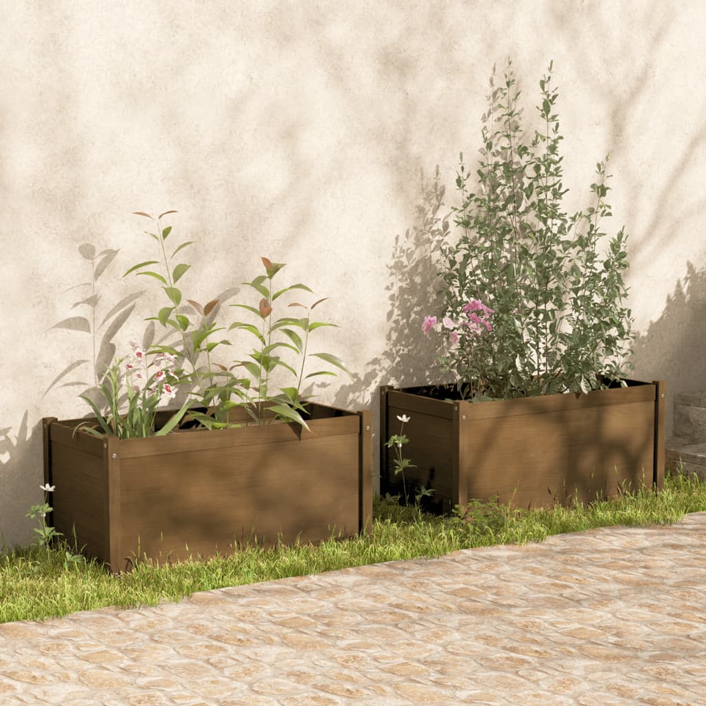 VidaXL Plantenbakken 2 st 100x50x50 cm massief groenhout honingbruin
