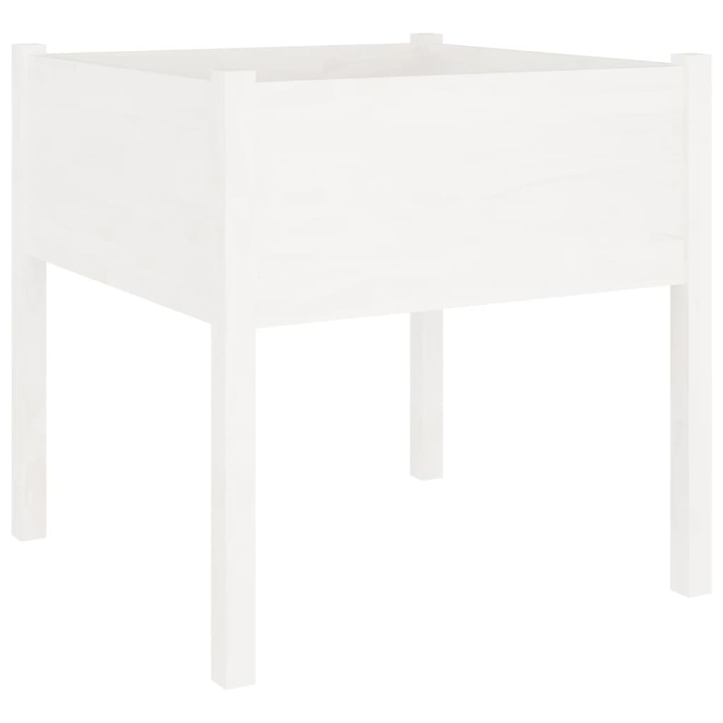 Vidaxl plantenbak 70x70x70 cm massief groenhout wit