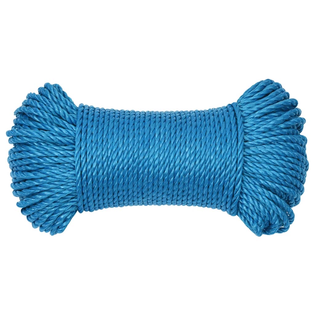Vidaxl werktouw 3 mm 25 m polypropeen blauw